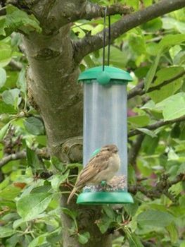 Craigie Guest House Ayr Bagian luar foto